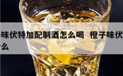 橙子味伏特加配制酒怎么喝  橙子味伏特加配什么