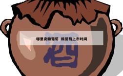 哪里卖赖葡萄  赖葡萄上市时间