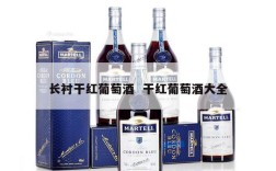 长衬干红葡萄酒  干红葡萄酒大全