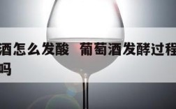 发葡萄酒怎么发酸  葡萄酒发酵过程中有酸味正常吗