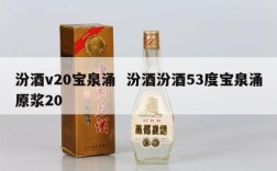 汾酒v20宝泉涌  汾酒汾酒53度宝泉涌原浆20