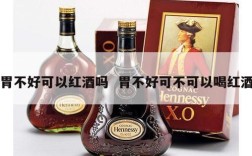 胃不好可以红酒吗  胃不好可不可以喝红酒