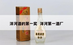 洋河酒的第一奖  洋河第一酒厂