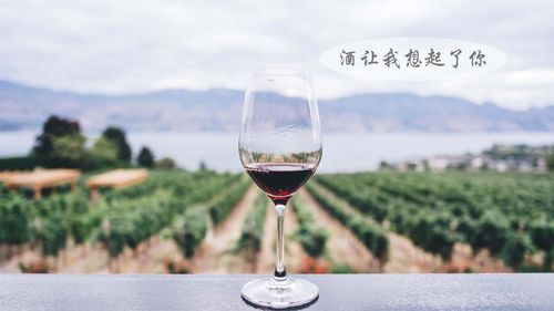 茅台收藏排行榜（茅台收藏排行榜最新）-图1